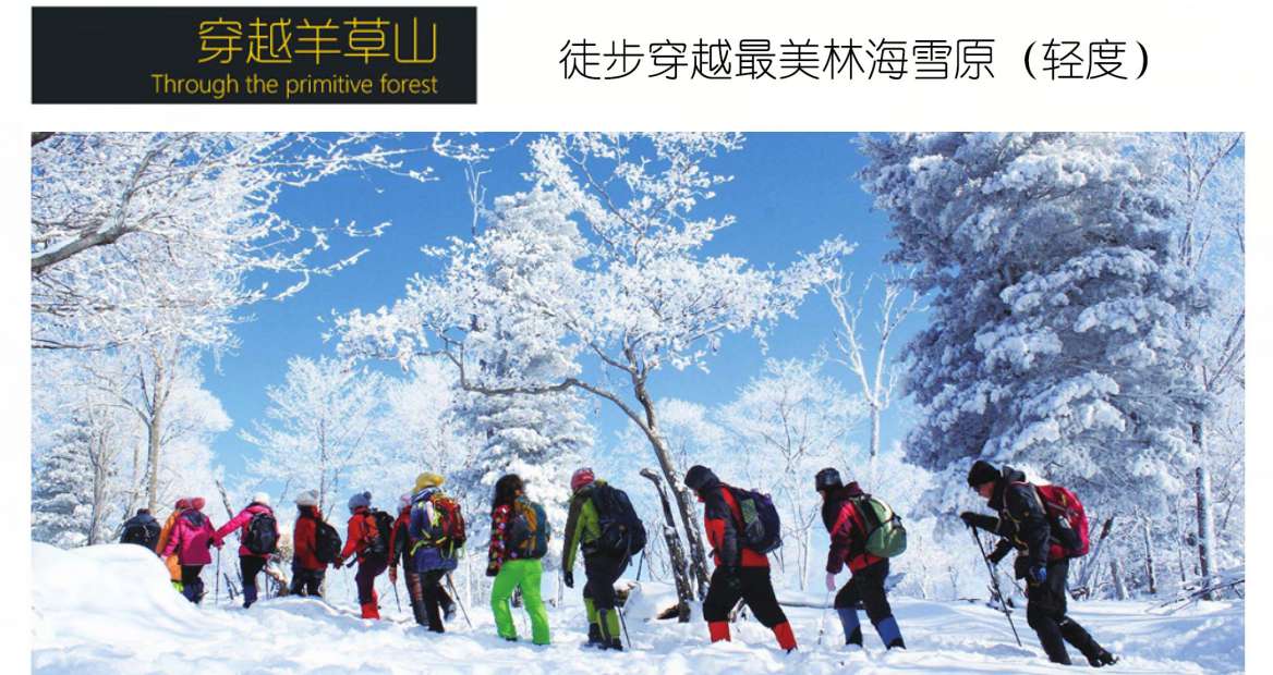 QQ图片20201210042756